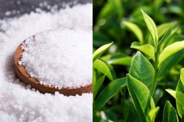 Làm trắng răng bằng muối và lá trà xanh