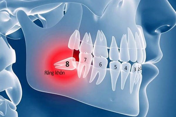 Răng số 8 là răng nào?