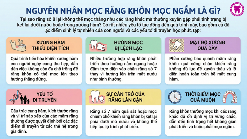 Nguyên nhân mọc răng khôn mọc ngầm là gì? Nguyên nhân mọc răng khôn mọc ngầm là gì?