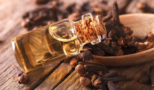 Sử dụng tinh dầu đinh hương Sử dụng tinh dầu đinh hương