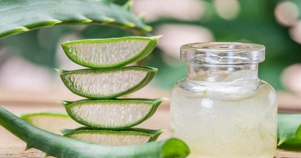 Dùng nước ép lô hội