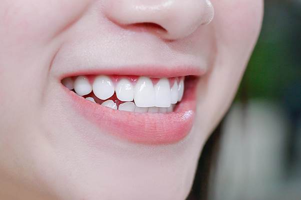 Chức năng chính của răng hàm là gì?