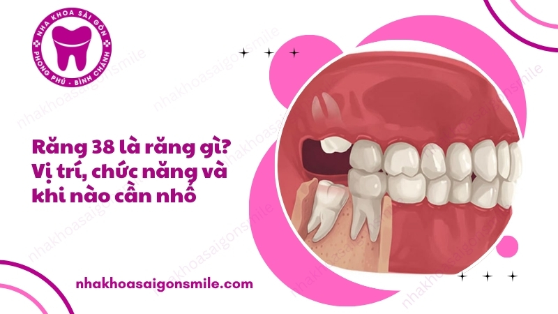 117. Rang 38 la rang gi Vi tri chuc nang va khi nao can nho