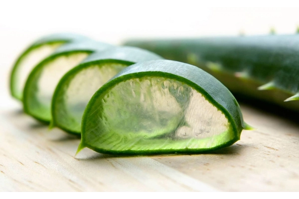 Gel nha đam có thể làm dịu vết rộp môi
