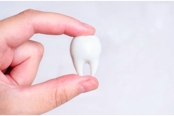 Răng cấm mọc khi nào? Có thay không?