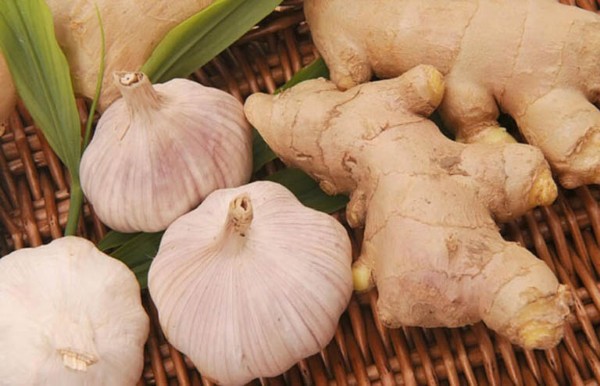 Súc miệng với gừng và tỏi tươi