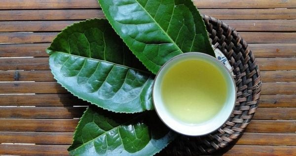 Súc miệng với trà xanh
