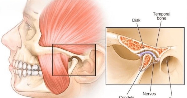 Cấu tạo giải phẫu của khớp thái dương hàm