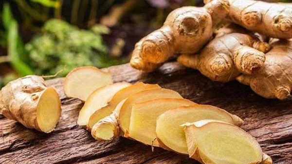 Sử dụng gừng giảm đau và kháng khuẩn cho trẻ