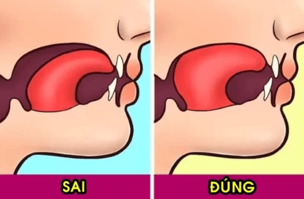 Nguyên tắc cơ bản của Mewing