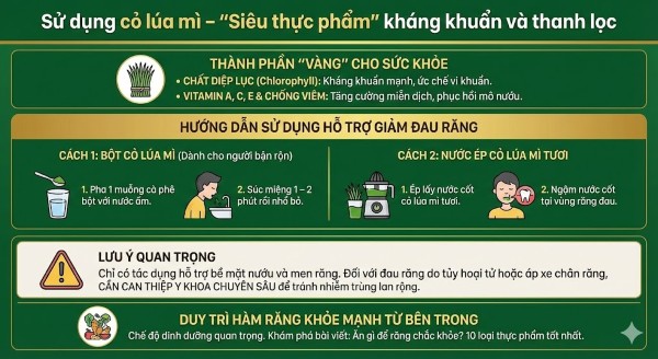 Sử dụng cỏ lúa mì – "Siêu thực phẩm" kháng khuẩn và thanh lọc Sử dụng cỏ lúa mì – "Siêu thực phẩm" kháng khuẩn và thanh lọc