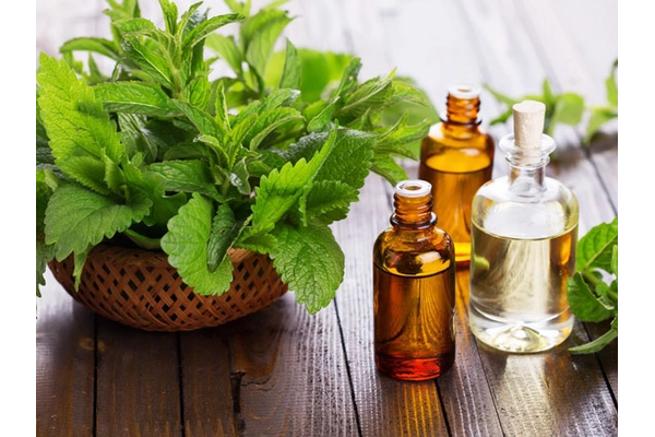 Phương pháp dùng thảo dược tự nhiên giúp giảm nhức răng