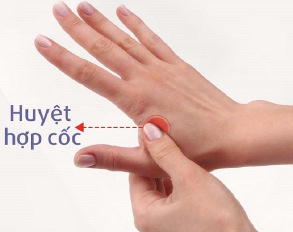 Huyệt Hợp Cốc – Giảm đau răng hàm trên và dưới Huyệt Hợp Cốc – Giảm đau răng hàm trên và dưới