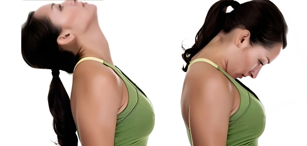Kéo sống lưng ra trước sau Kéo sống lưng ra trước sau