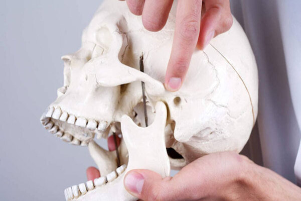 Quai hàm là gì? Quai hàm là gì?