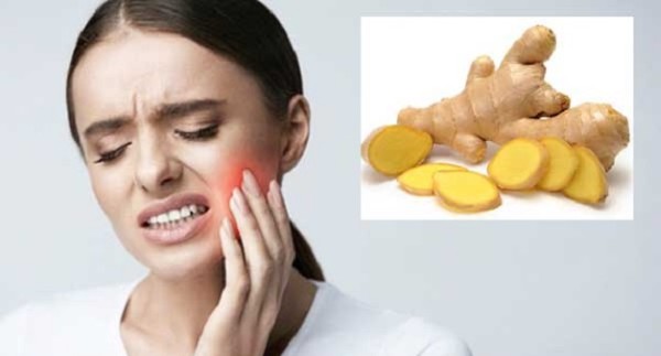 Ngậm gừng tươi Ngậm gừng tươi