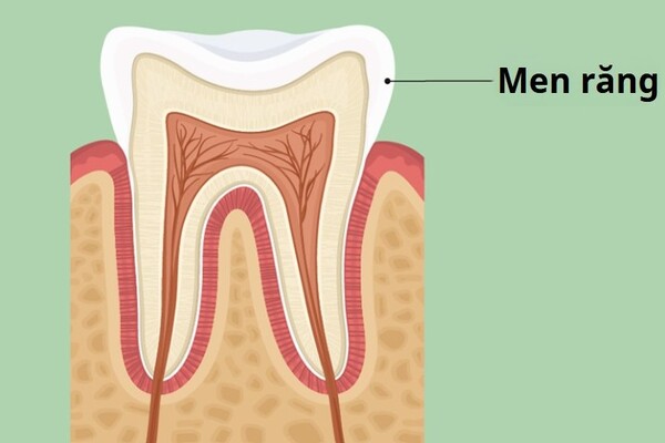 Men răng là gì? Men răng là gì?