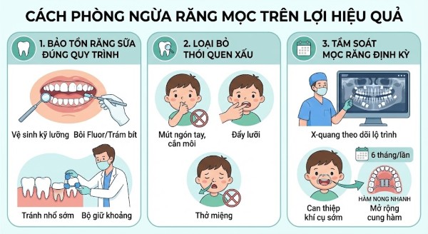 Cách phòng ngừa răng mọc trên lợi hiệu quả Cách phòng ngừa răng mọc trên lợi hiệu quả