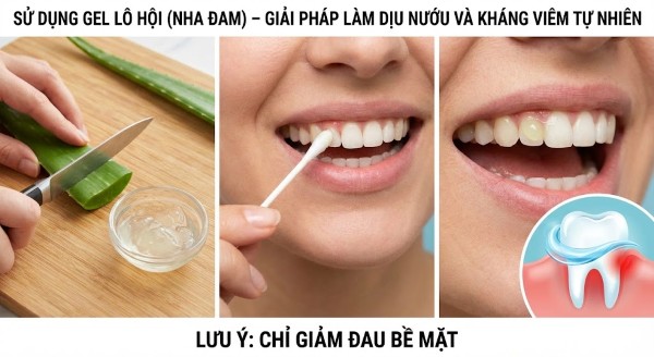 Sử dụng gel lô hội (nha đam) – Giải pháp làm dịu nướu và kháng viêm tự nhiên Sử dụng gel lô hội (nha đam) – Giải pháp làm dịu nướu và kháng viêm tự nhiên