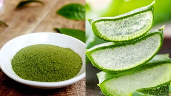 7 Cách chữa răng bị tụt lợi hiệu quả, an toàn chuẩn y khoa 3 Cách chữa răng bị tụt lợi hiệu quả với trà xanh và nha đam