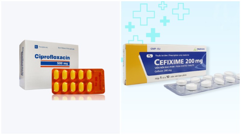 Viêm nướu răng uống thuốc gì để nhanh hết sưng đau hiệu quả? 6 Thuốc Cefixim và Ciprofloxacin
